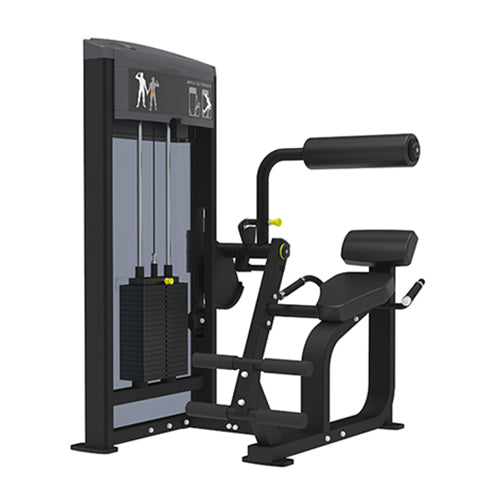 GymGear | Pro Series Back Extension