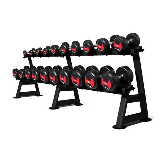 GymGear | 12 Pair / 2 Tier Storage Rack