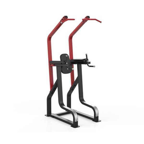 GymGear | Sterling Series Chin / Dip / Knee Raise Frame